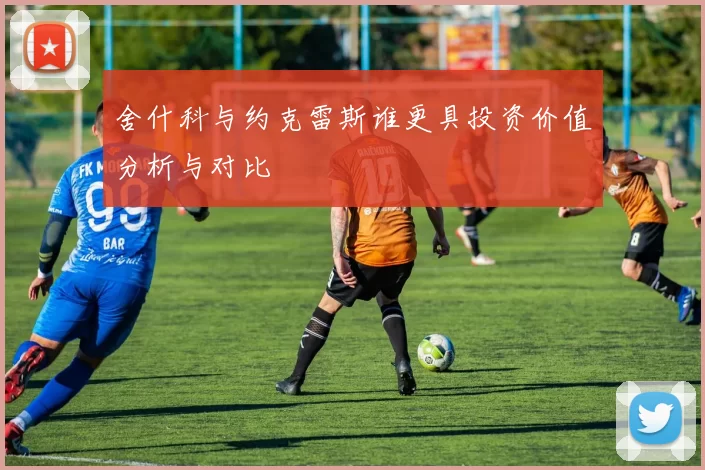 舍什科与约克雷斯谁更具投资价值分析与对比